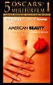 American Beauty